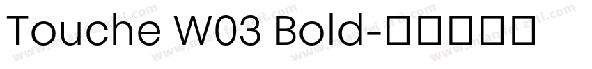 Touche W03 Bold字体转换